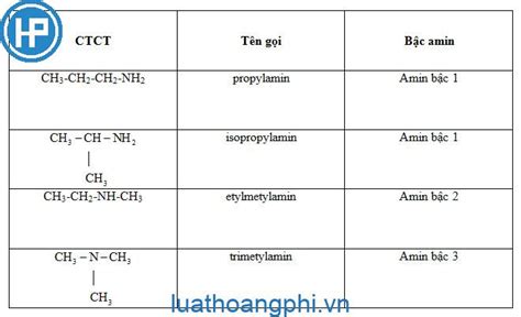 chất nào sau đây thuộc amin bậc 2